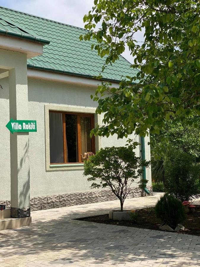 Villa Rokiti Bagian luar foto